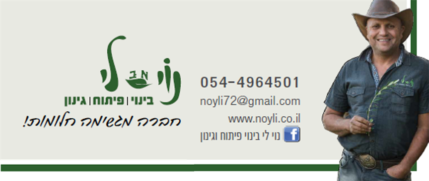 תלתן פרטים