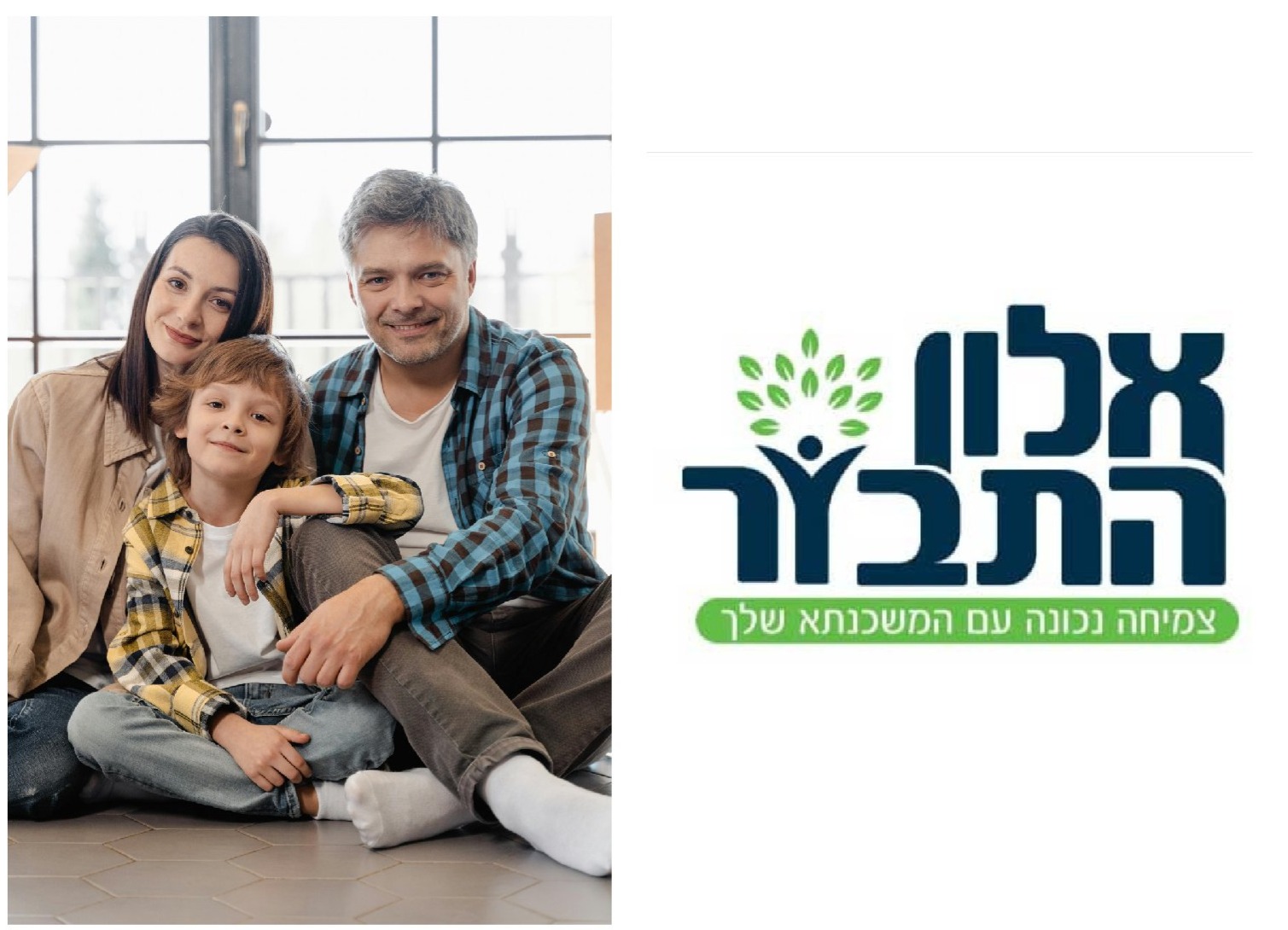 תמונת קאבר של חברת אלון התבור