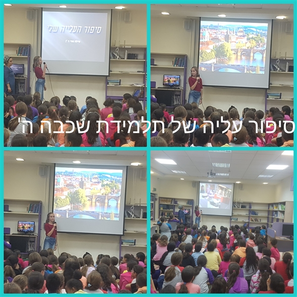 שם המוצר