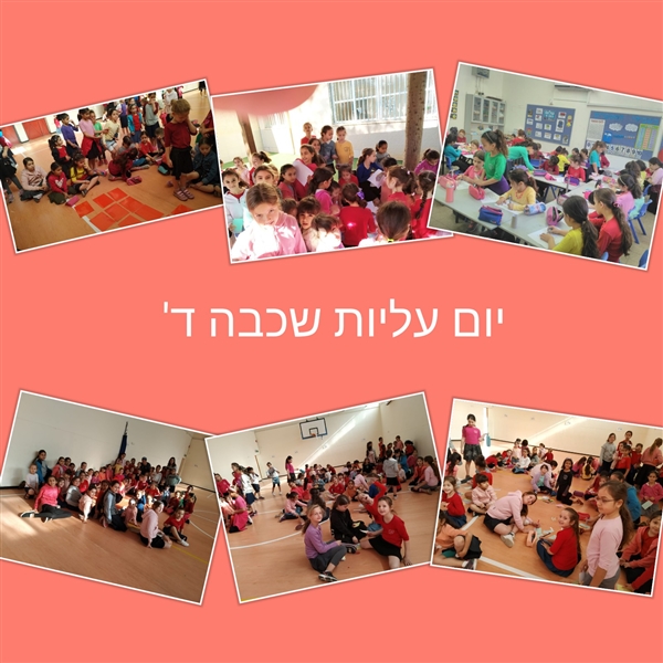 שם המוצר