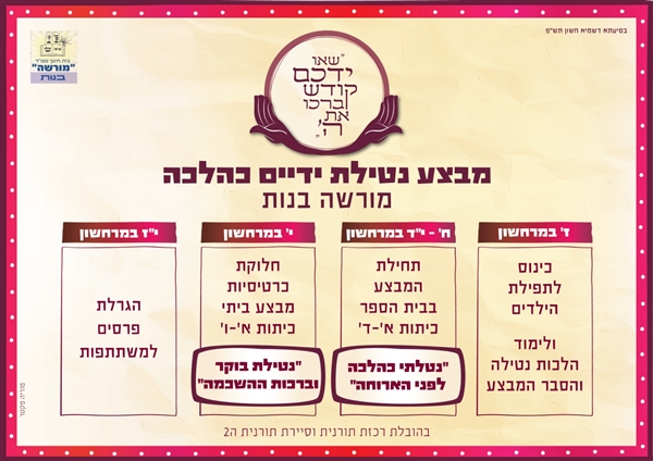 שם המוצר