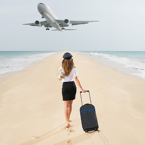 דייל/ת אוויר