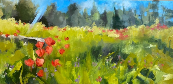 Poppy Meadow