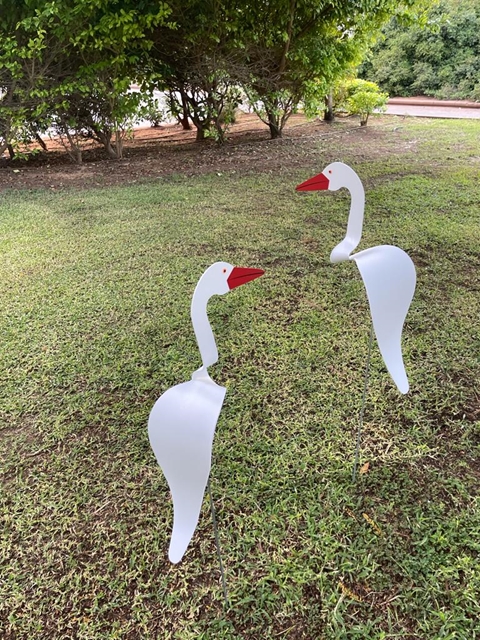 -   ספיר  -