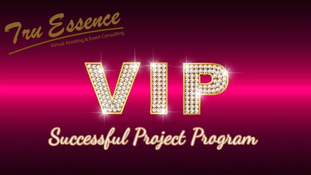 VIP Successful Project Program