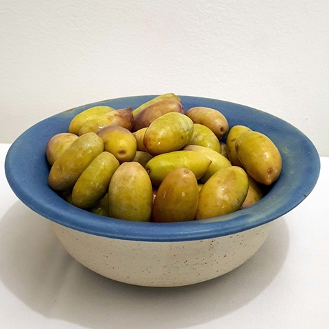 מוצרי משק נוספים