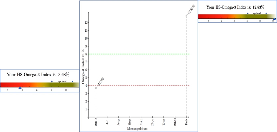 תמונה מס' 5: גרף מדדי אינדקס מתוך דוח הבדיקה של י'
