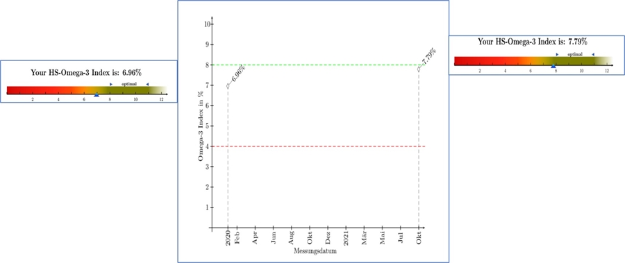 תמונה מס' 9: גרף מדדי אינדקס מתוך דוח הבדיקה של א'