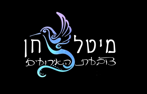 מגישה לך זיכרון צבעוני וקסום