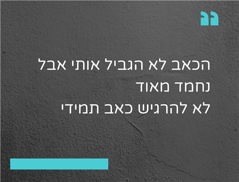 שם המוצר