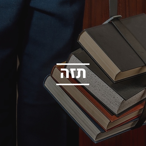 סיוע בכתיבת תזה
