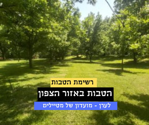 הטבות באזור הצפון