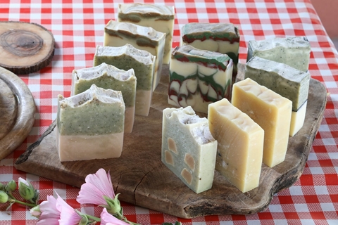 לילית - חווה תפוחי - בית נחמיה