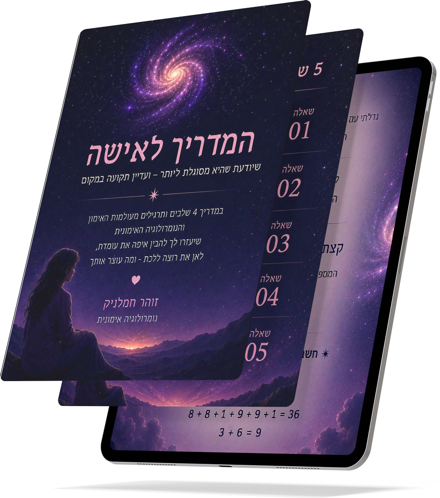 הדמייה למדריך המתנה
