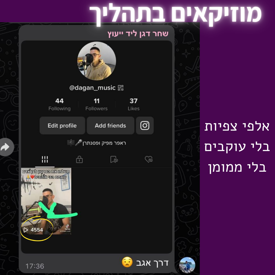 הוכחה חברתית 13