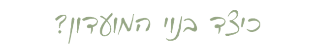 כיצד בנוי המועדון? - עדי בן-יאיר