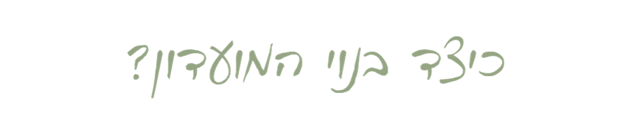 כיצד בנוי המועדון - עדי בן-יאיר