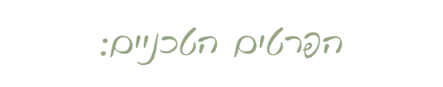 הפרטים הטכניים - עדי בן-יאיר