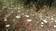 מפגש מזין לגוף ולנשמה