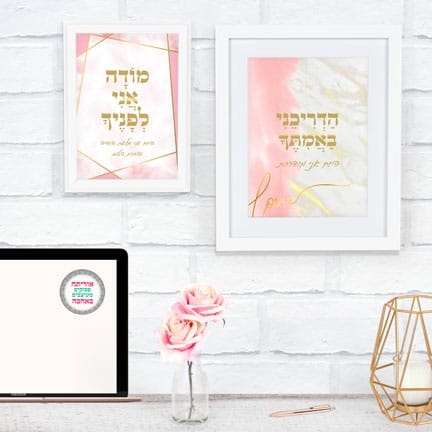 שם המוצר