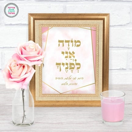שם המוצר