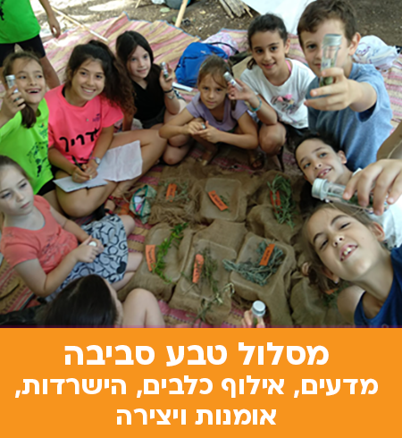 מנהלת המסלול: אסתי הנדל מורה בכירה לטבע ומדעים בבית הספר ריאלי חיפה.