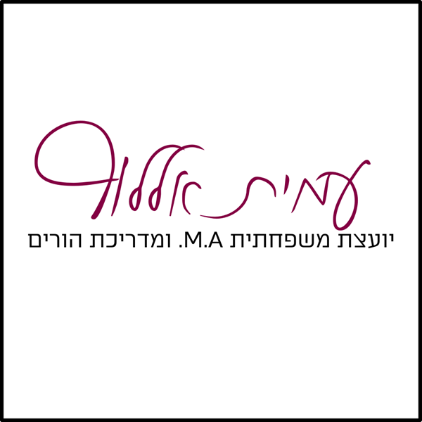 לוגו עמית אללוף