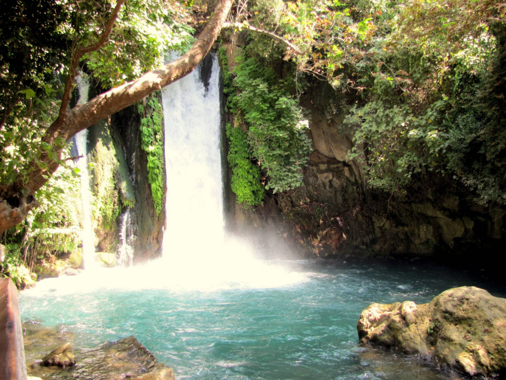 הביאנס  שמורת טבע מהממת