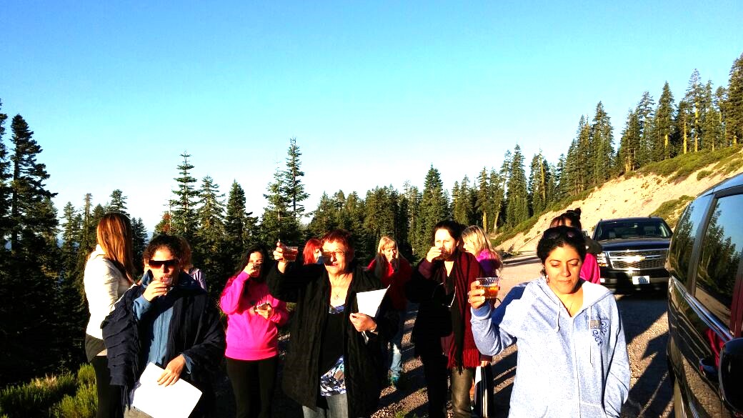 מסע מספר 2- יולי 2013 -קבוצת פשוט אהבה