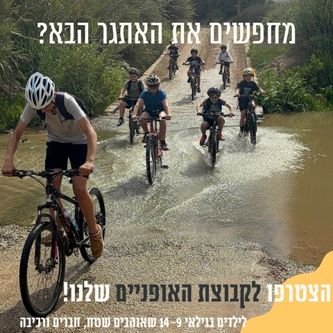 איך פעילות גופנית משנה חיים של ילדים ?