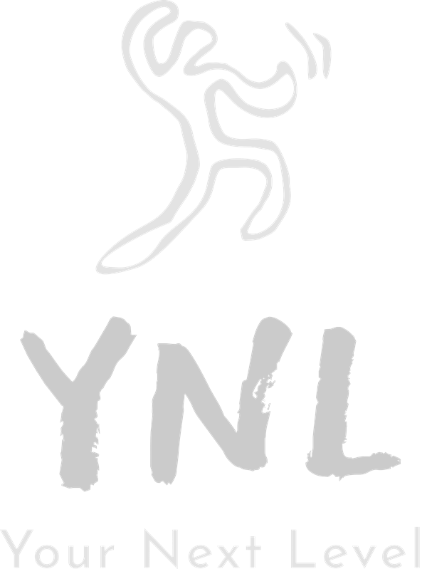 תוכנית המנטורינג של YNL