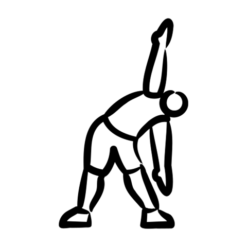 פעילויות רבות ומגוונות