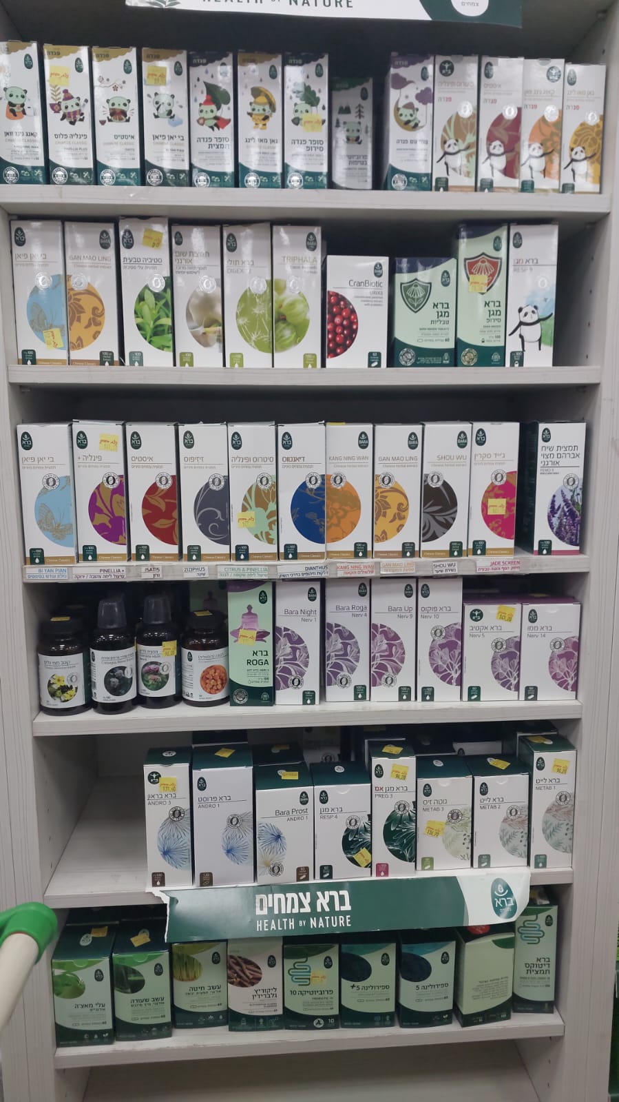 צמחי מרפא סיניים