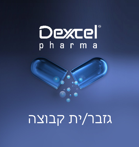 גזבר/ית קבוצה