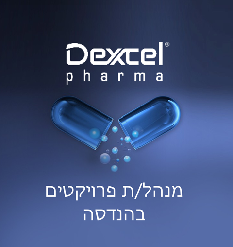 מנהל/ת פרוייקטים בהנדסה