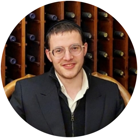מאיר אידלס