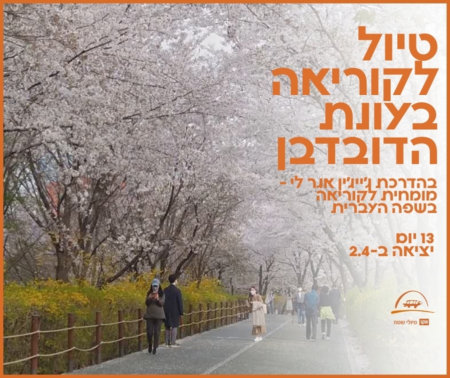 טיול לדרום קוריאה בעונת הדובדבן