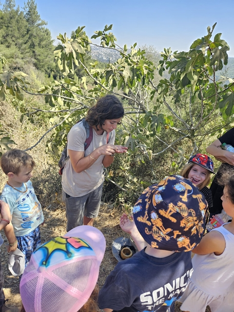 יוצאים ליער