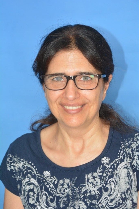 המנחה בהשתלמות