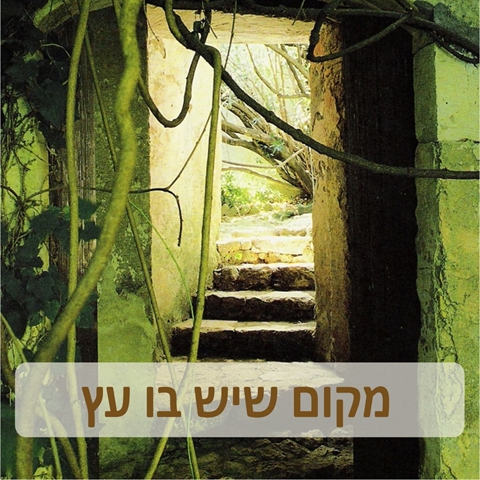 מקום שיש בו עץ