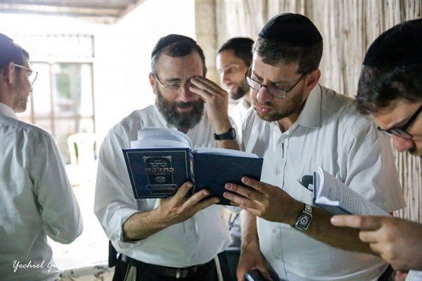 שם המוצר