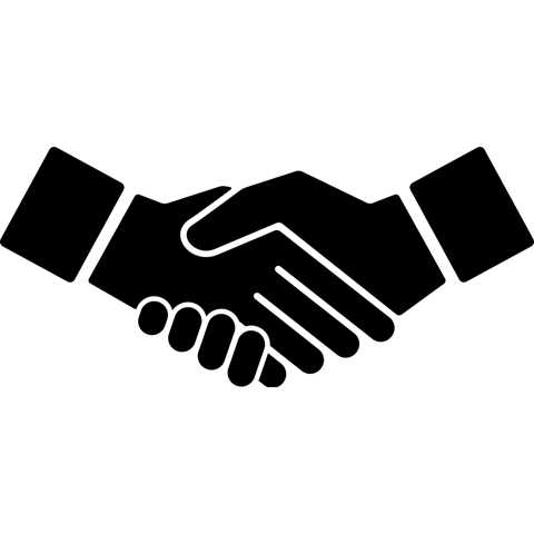ליווי, הטמעה וניתוח נתונים