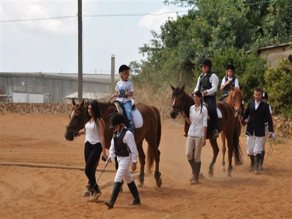 שיעורי רכיבה