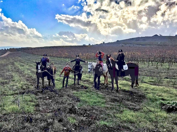 טיולי סוסים