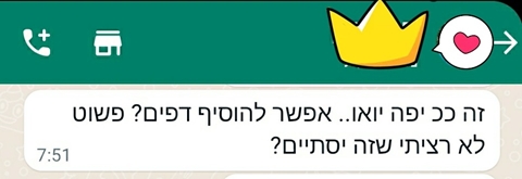 שם המוצר