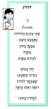 דנידין