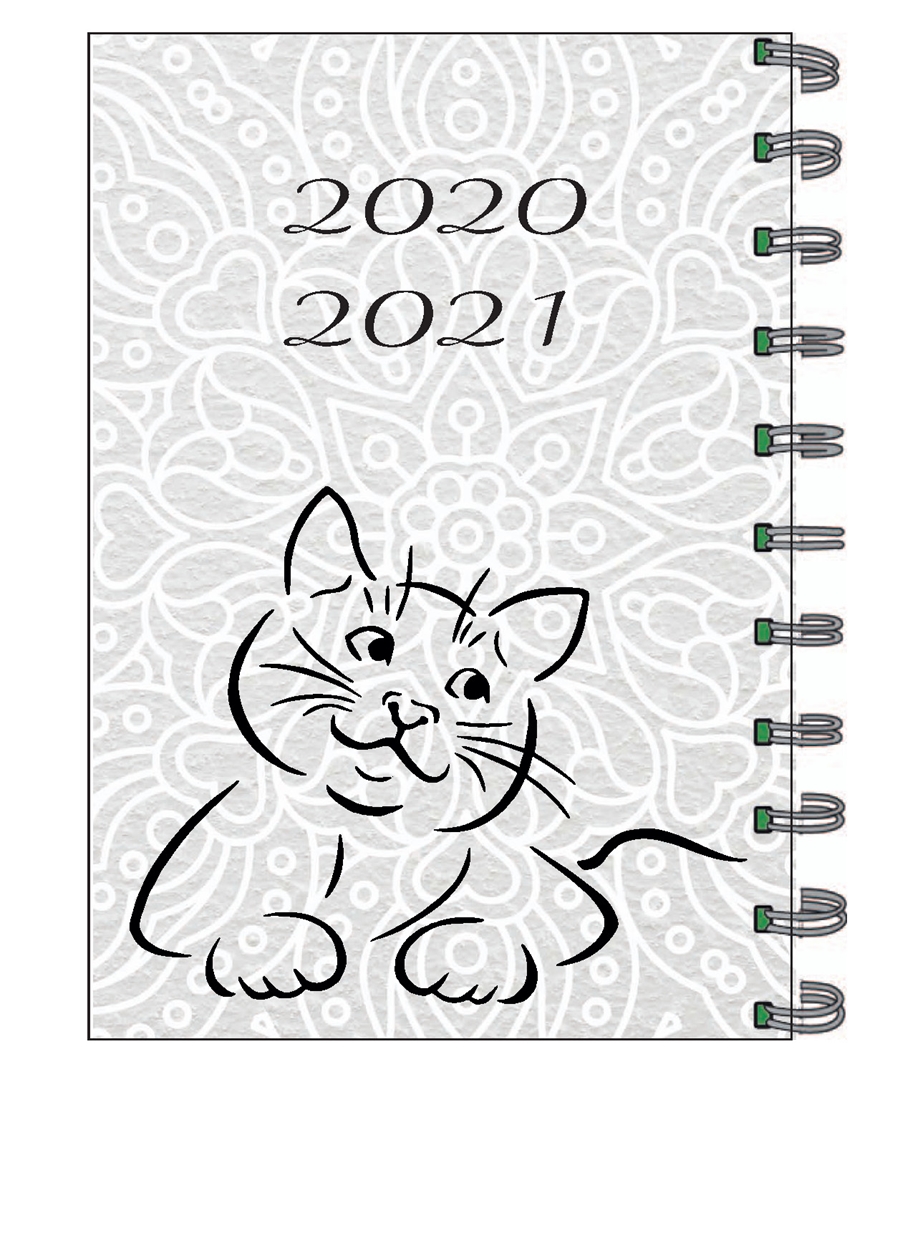 יומן חתול אפור