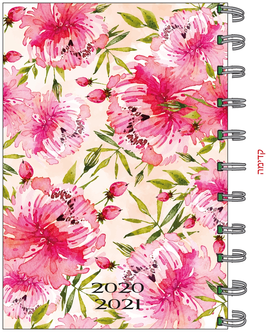 יומן רקע לבן