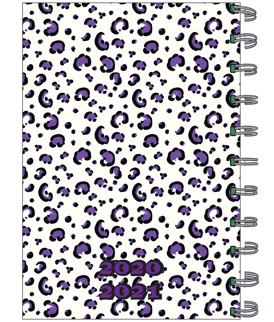 יומן רקע לבן