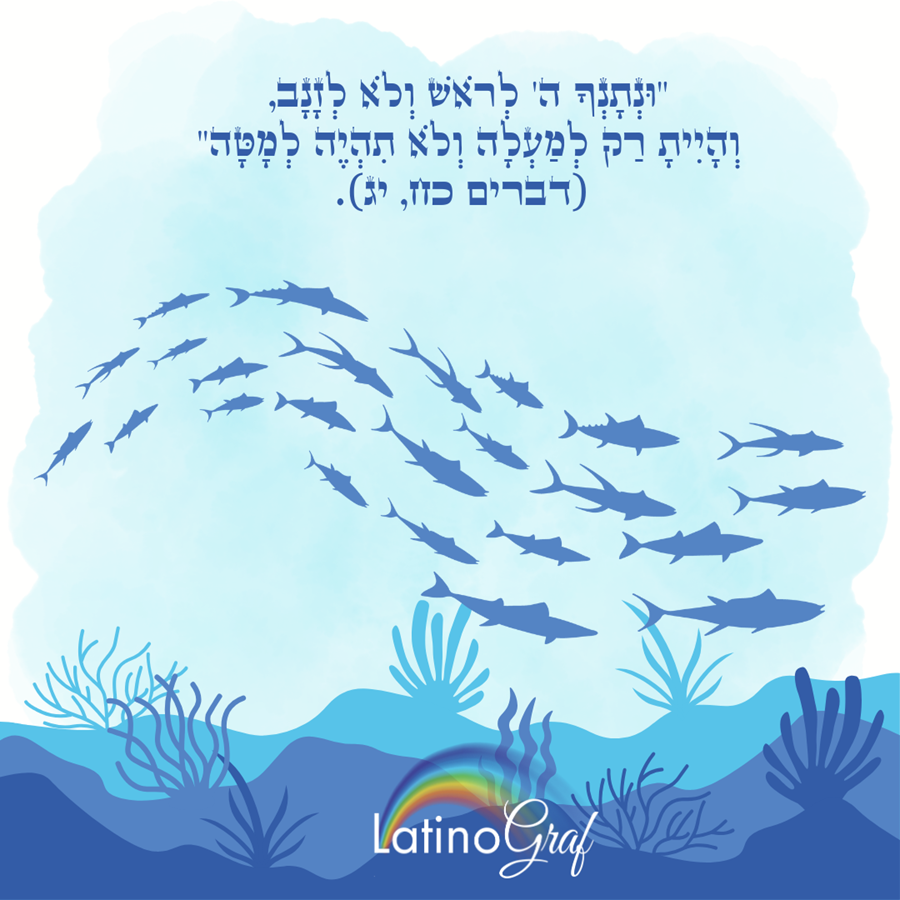 תפוח